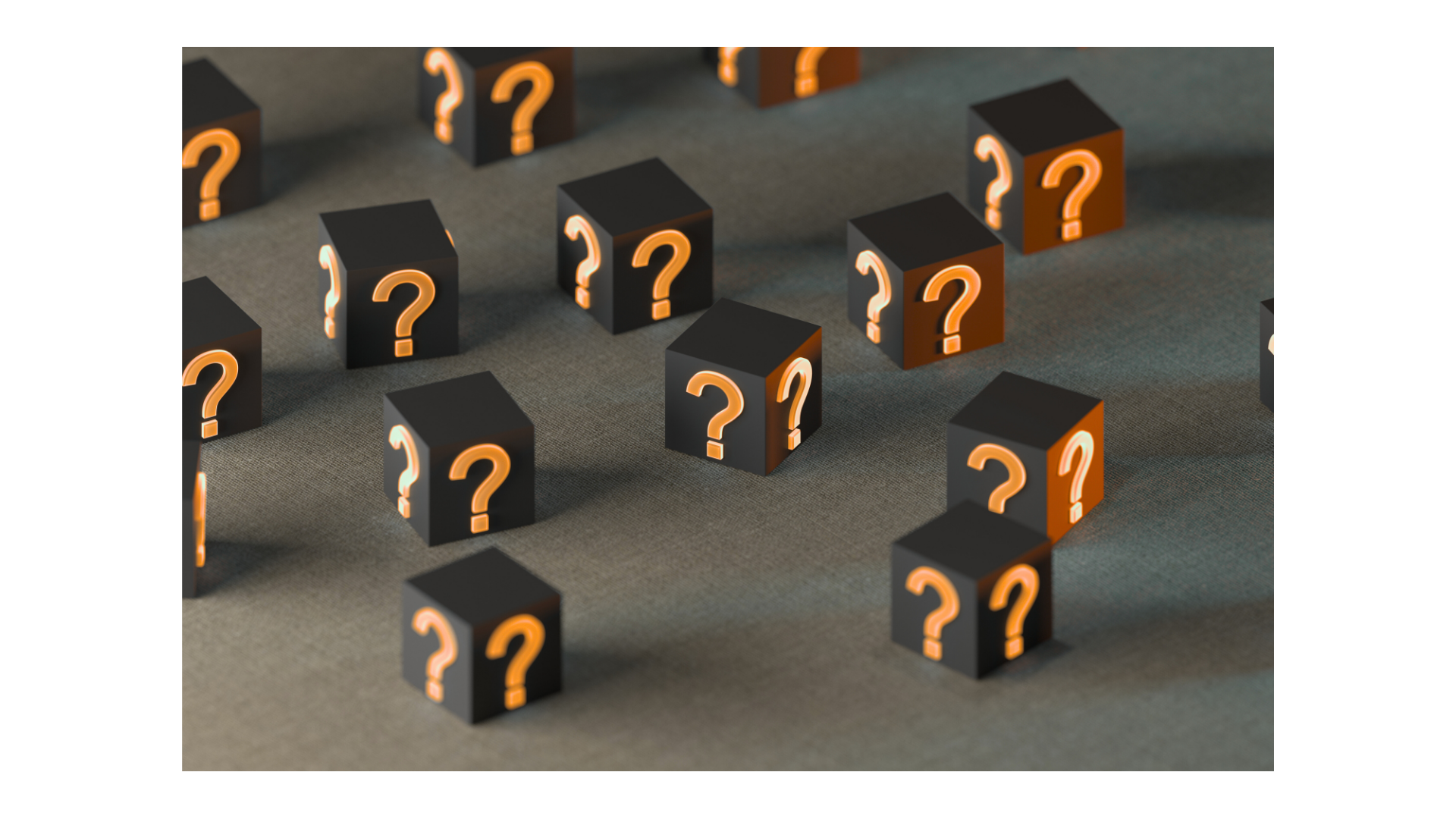 Curiosity is King: Why Staying Curious Keeps You Secure